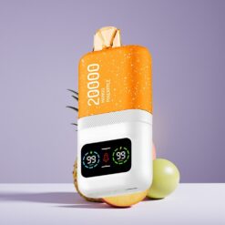 Philippines Wholesaler Aivono Aim Magic 20000 Puffs Dual Mesh LCD Rechargeable Mango Pineapple