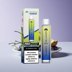 Philippines Wholesaler Hayati Pro Max 4000 Puffs Dual Mesh Coil Rechargeable Blueberry Kiwi