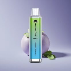 Philippines Wholesaler Hayati Pro Max 4000 Puffs Rechargeable Double Menthol Disposable Vape