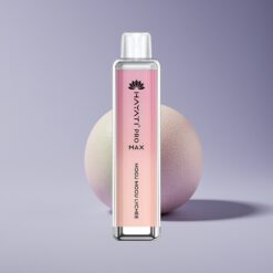 Philippines Wholesaler Hayati Pro Max 4000 Puffs Rechargeable Dual Mesh Disposable Vape Mogu Mogu Lychee