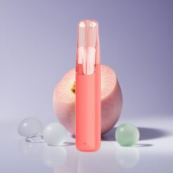 Philippines Wholesaler Snowplus Dash 4000 Puffs 7.5ml 530mAh Peach Ice Disposable Device