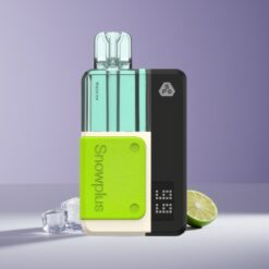 Philippines Wholesaler Snowplus Swift 5000 Dual Mesh 12+10ml Mojito Ice