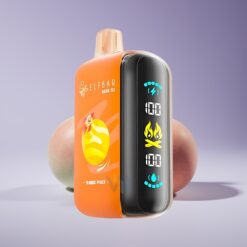 Philippines Wholesaler ELF BAR RAYA D3 25000 Puffs Mango Peach Rechargeable 23ml 5% Type-C