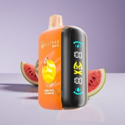 Philippines Wholesaler ELF BAR RAYA D3 25000 Puffs Mango Peach Watermelon Rechargeable 23mL 5% Type-C