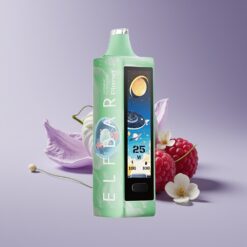 Philippines Wholesaler Elf Bar Planet 25000 Puffs Jasmine Raspberry Mesh Rechargeable 800mAh