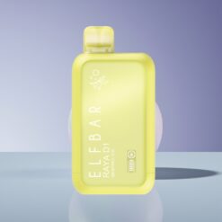 Philippines Wholesaler Elf Bar Raya D1 13000 Puffs Menthol Ice Disposable Vape 18ml 650mAh Type-C