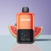 Philippines Wholesaler GEEK BAR 2GO 50000 Puffs Dual Tanks 20mL Rechargeable Watermelon Bubble Gum Ice