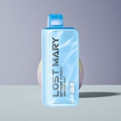 Philippines Wholesaler Lost Mary MT15000 Dual Mesh Coil 11W/22W 15000 Puffs Winter Mint